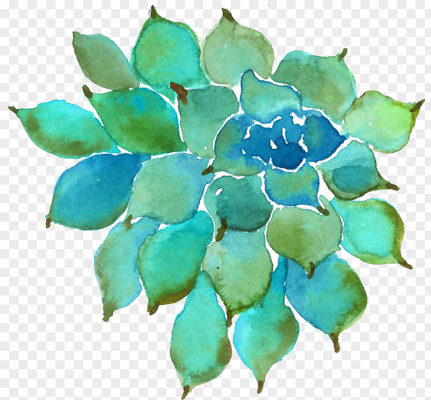 Succulent Plants Plant Watercolor Painting Petal PNG