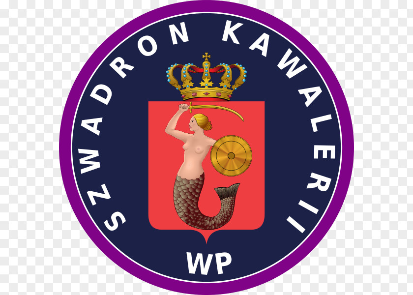Szwadron Kawalerii Wojska Polskiego Squadron Regiment Poland Company PNG