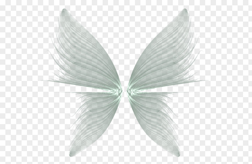 Wings Transparent Background Butterfly Drawing Feather PNG