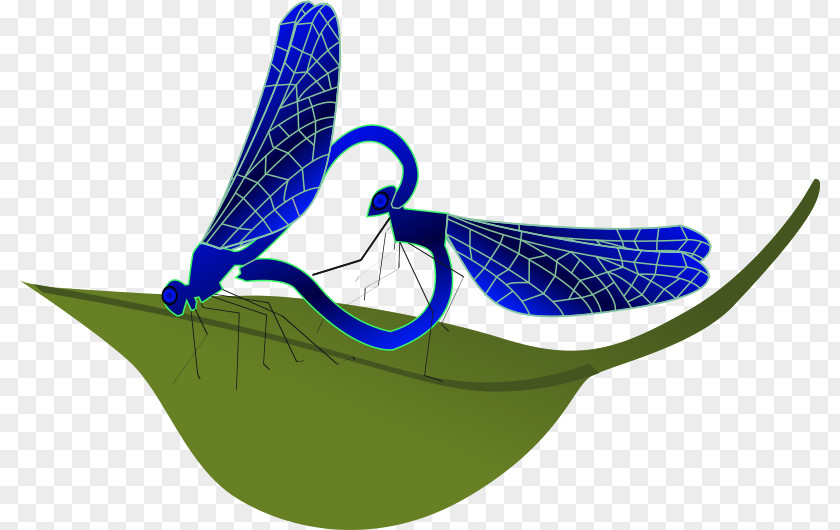 Dragon Fly Insect Dragonfly Clip Art PNG