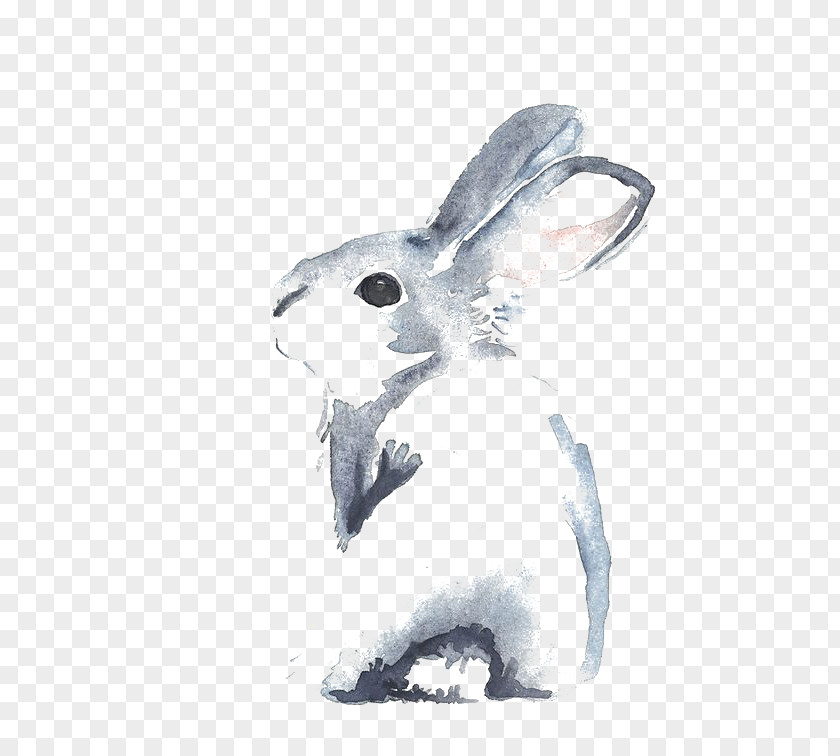 Drawing Little Rabbit Cinnamon Watercolour Flowers Watercolor Painting PNG