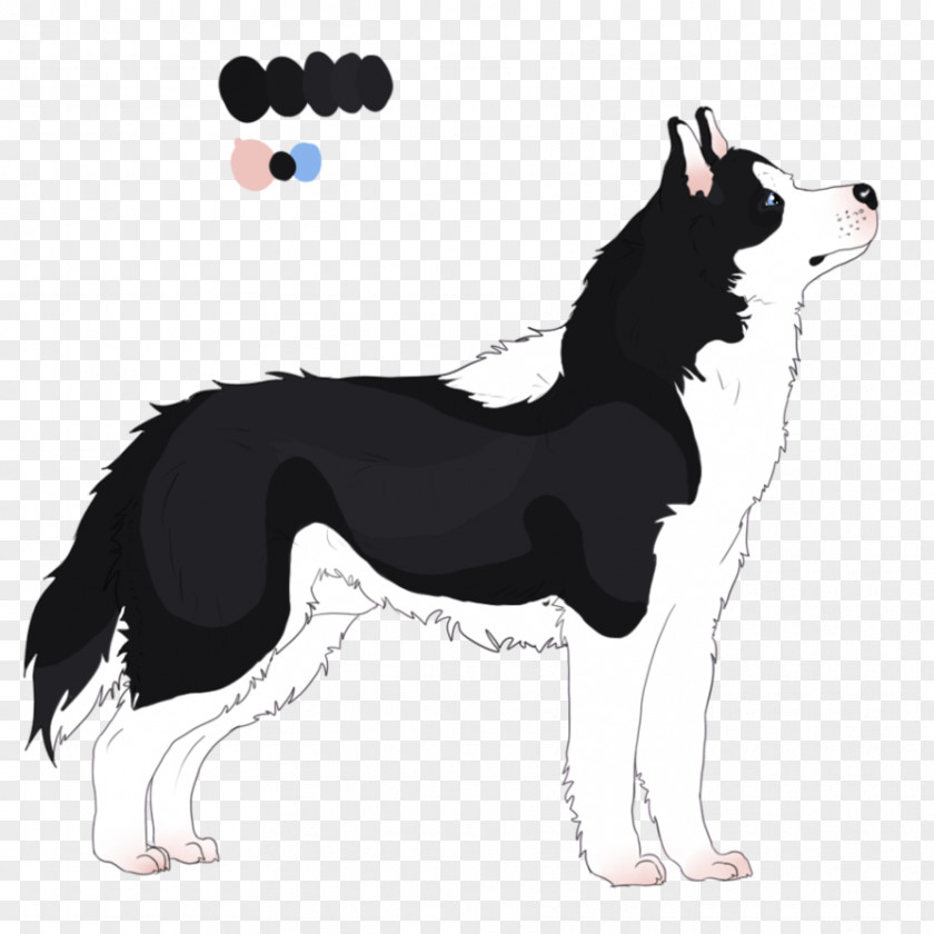 Eat Chocolate J Dog Breed Border Collie Rough PNG