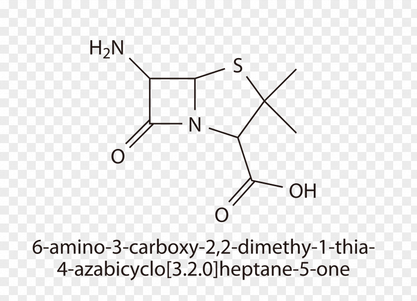 Nomenclature Paper /m/02csf Drawing PNG