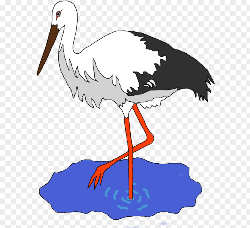 Pond Bird White Stork Clip Art PNG