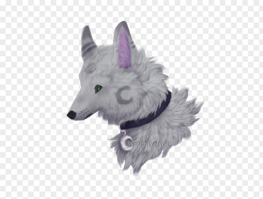 Silver Moon Gray Wolf Fur Snout Wildlife PNG