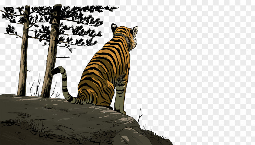 Tiger Siberian Упорный Wildlife Big Cat PNG
