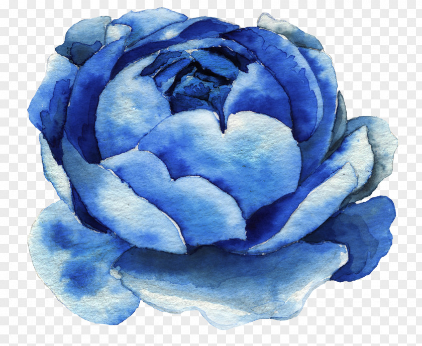 Blue Watercolor Flowers Painting Photography Clip Art PNG