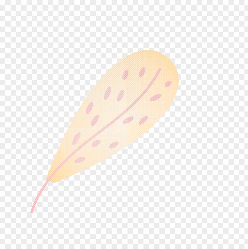 Feather PNG