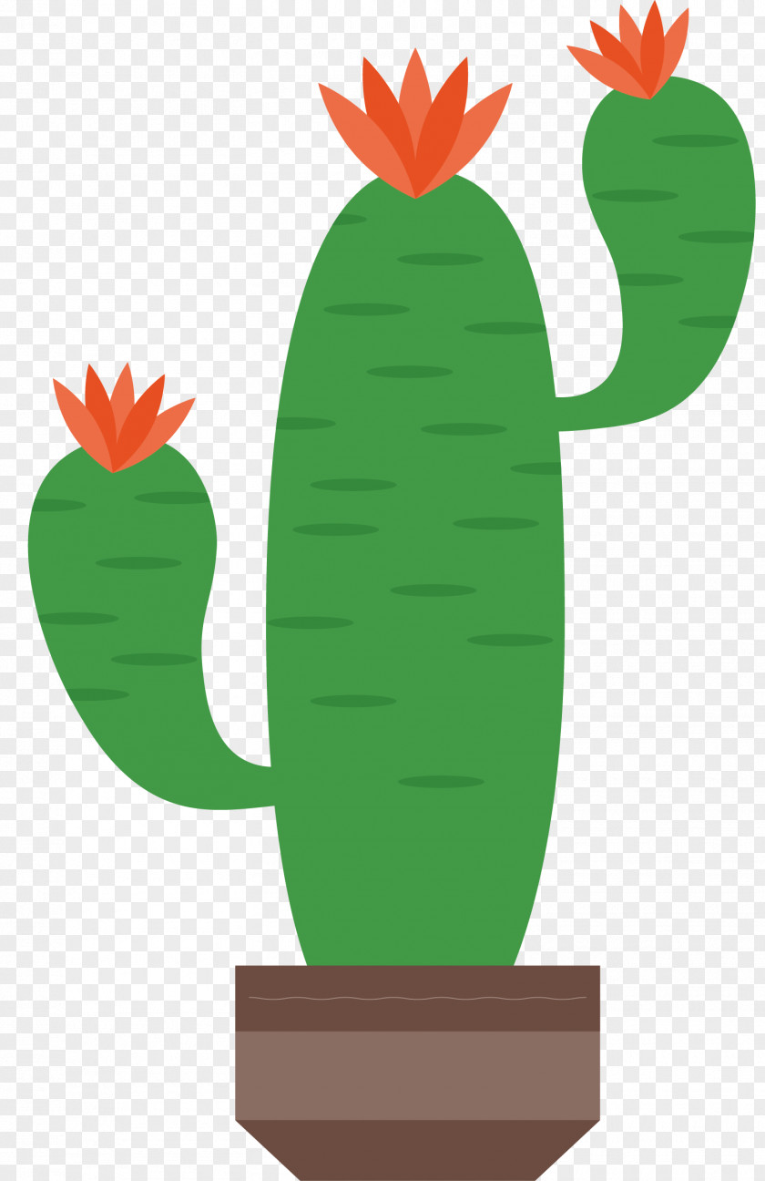 Green Cactus Vector Cactaceae ArtWorks Illustration PNG