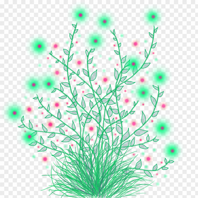 Green Floral Flower Photography Clip Art PNG
