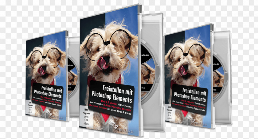 Photoshop Elements 2 For Dummies Dog Breed Tutorial Adobe Web Page PNG