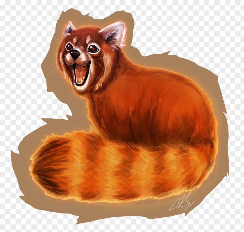 Red Panda Cat Whiskers Carnivora Mammal PNG