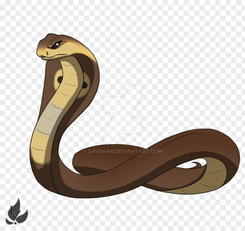 Sea Snake King Cobra Black Mamba DeviantArt PNG
