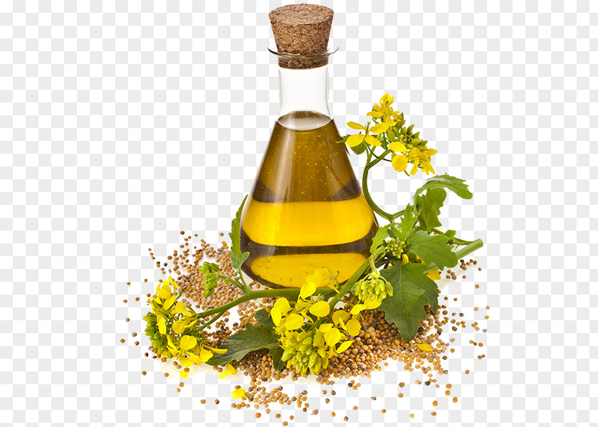 Sunflower Oil Canola Cooking Oils Rapeseed Seed PNG