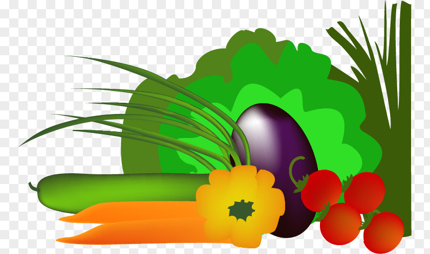 Cartoon,vegetables Nutrient Food Pyramid Nutrition Eating PNG