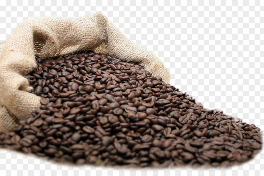 Coffee Beans Tea Fizzy Drinks Latte Cafe PNG