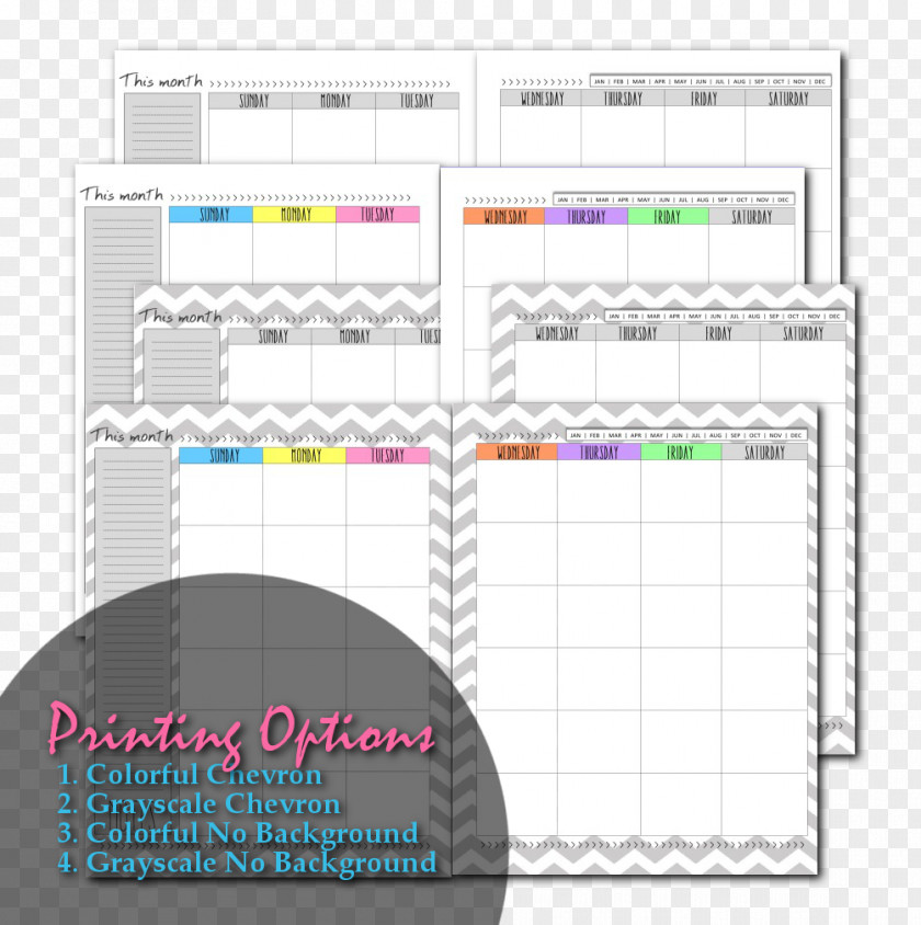 Pregnancy Back Baby Planner Computer Software PNG