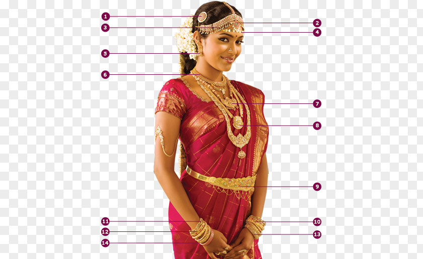 Tamil Wedding Bride Sari Jewellery Dress Belt PNG