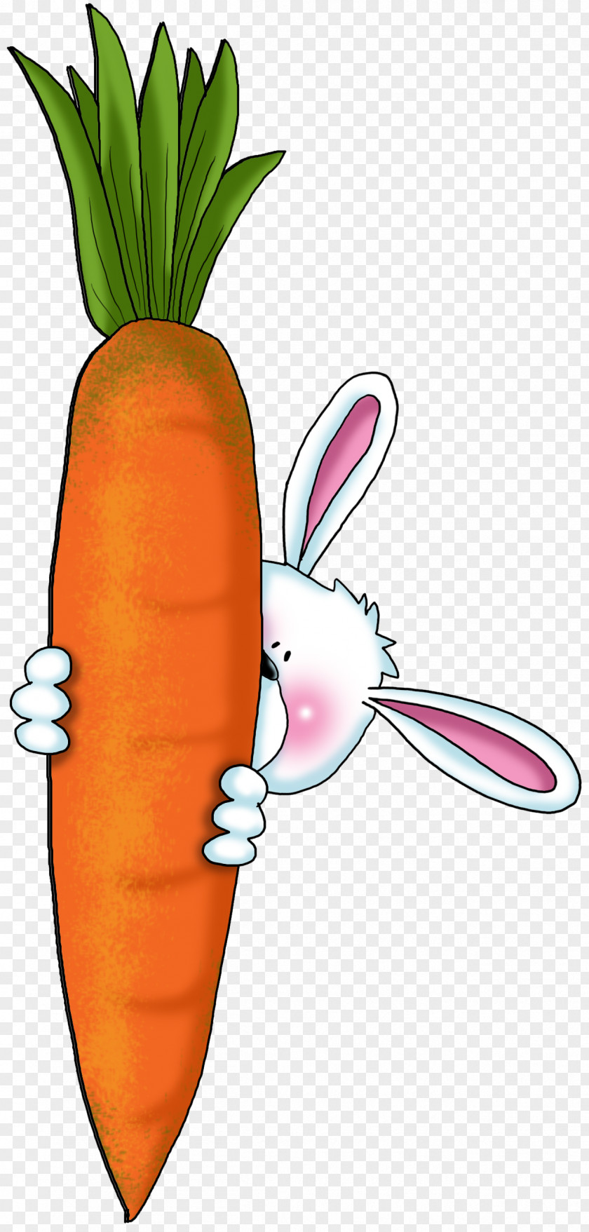 Bun Carrot Cake Vegetable Rabbit Drawing PNG