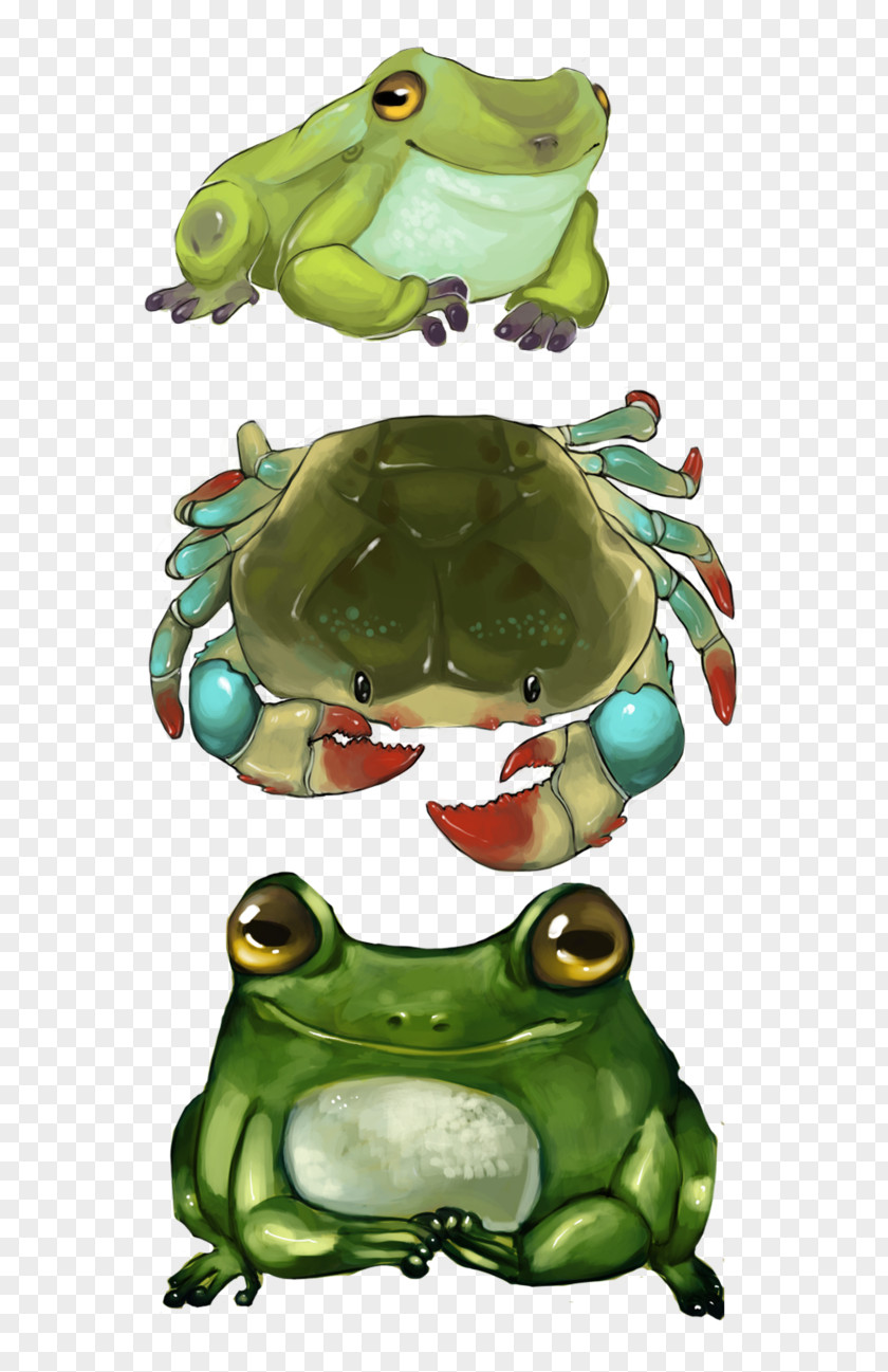 Headling True Frog Tree Toad Character PNG