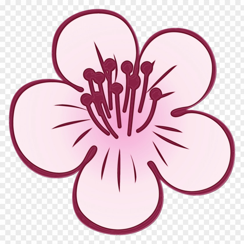 Pink Flower Plant Petal Magenta PNG