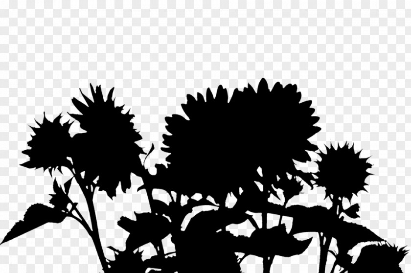 Plant Stem Desktop Wallpaper Flowering Font PNG