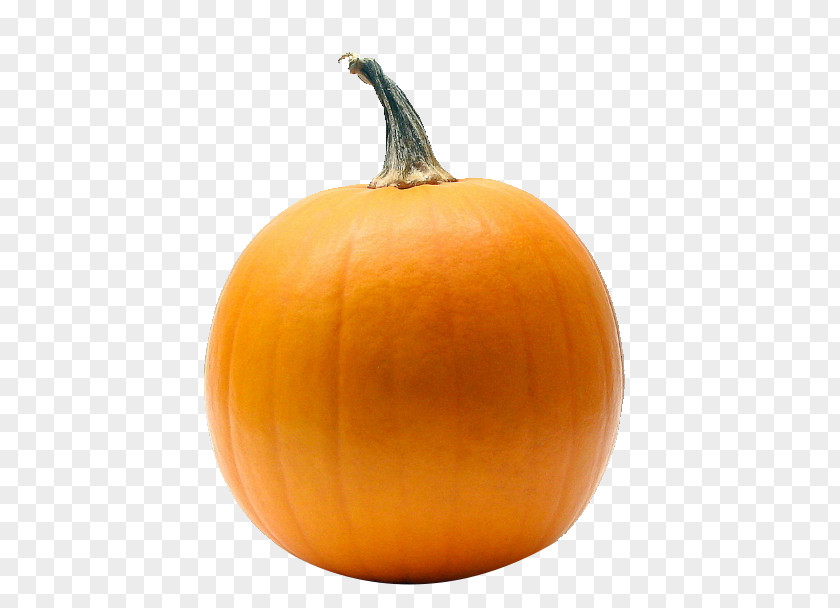 Pumpkin Calabaza Cincinnati Reds Gourd PNG