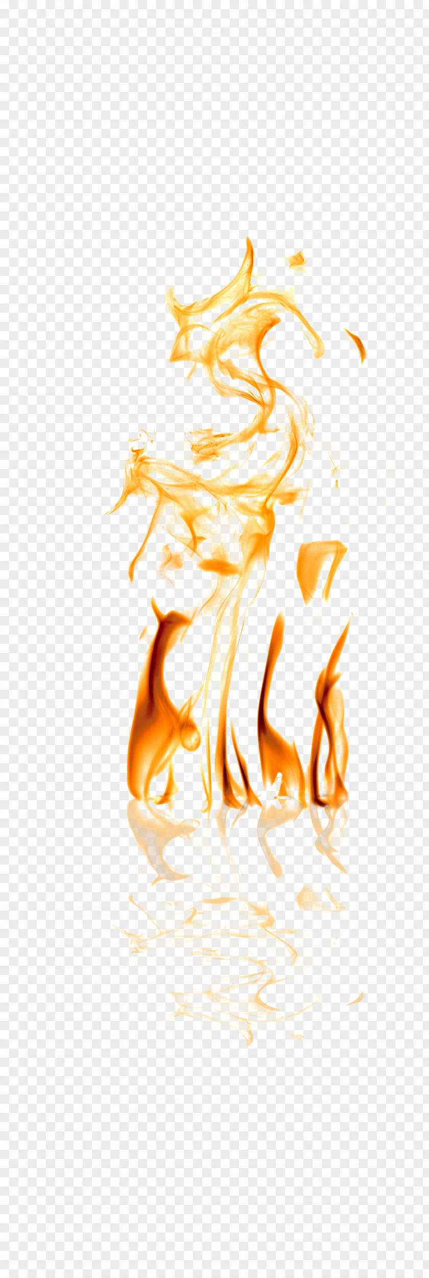Different Shapes Of Golden Flames Light Clip Art PNG