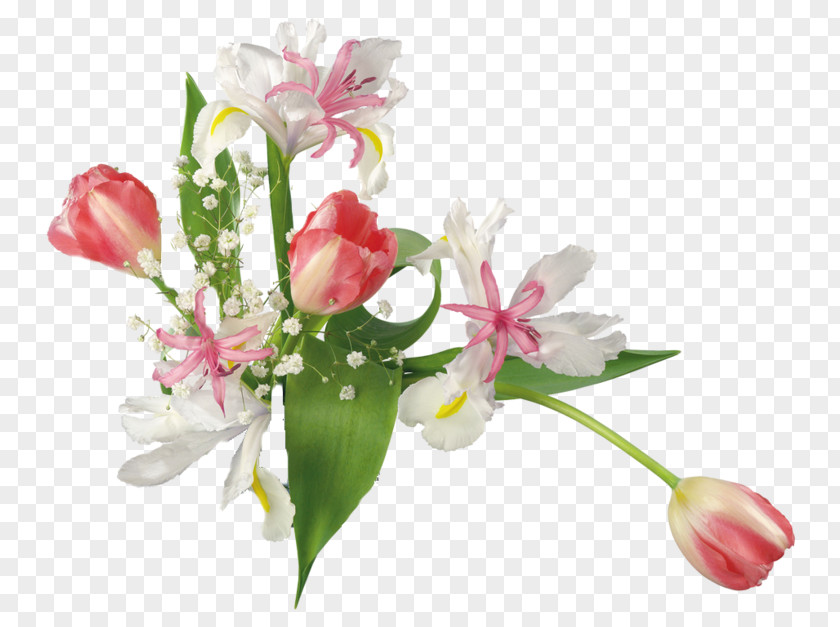 Lily Family Artificial Flower Cartoon PNG