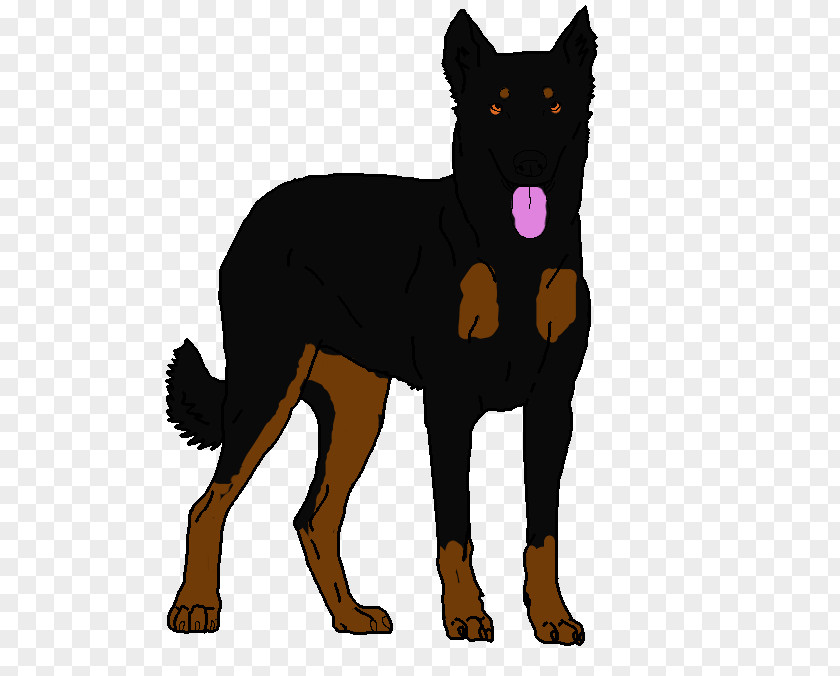 Puppy Australian Kelpie German Shepherd Guard Dog Beauceron PNG