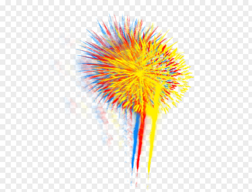 Simple Firework PNG