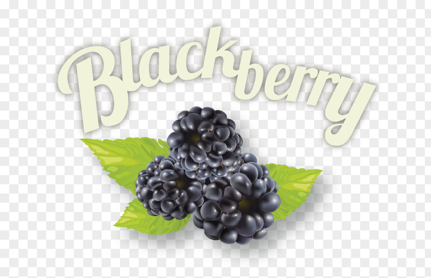 Blackberry BlackBerry Superfood Jam Ingredient PNG