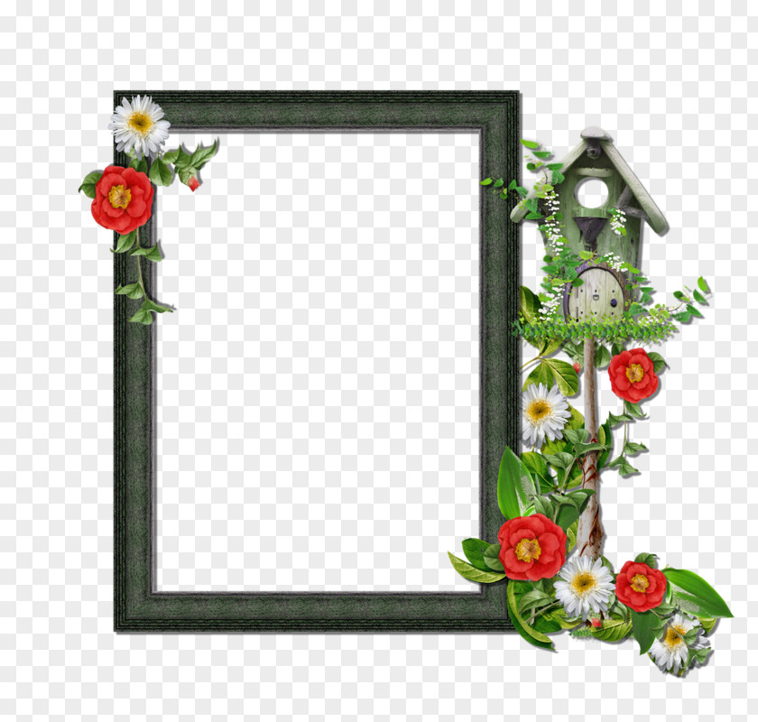 Frammes Cartoon Picture Frames Roisin O'Hagan Image Flower Portable Network Graphics PNG