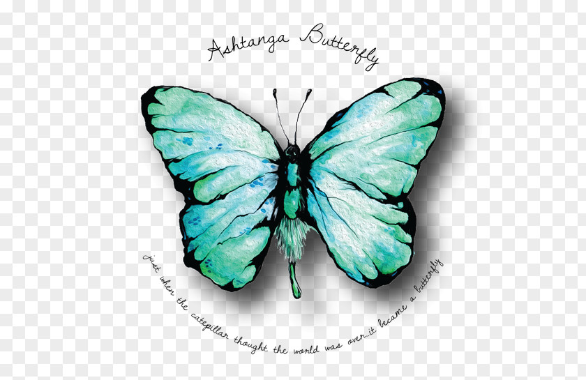 Butterfly Brush-footed Butterflies Ashtanga Vinyasa Yoga Gossamer-winged PNG