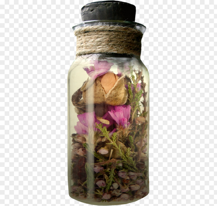 Dried Flowers Wishing Bottle Pressed Flower Craft Glass PNG