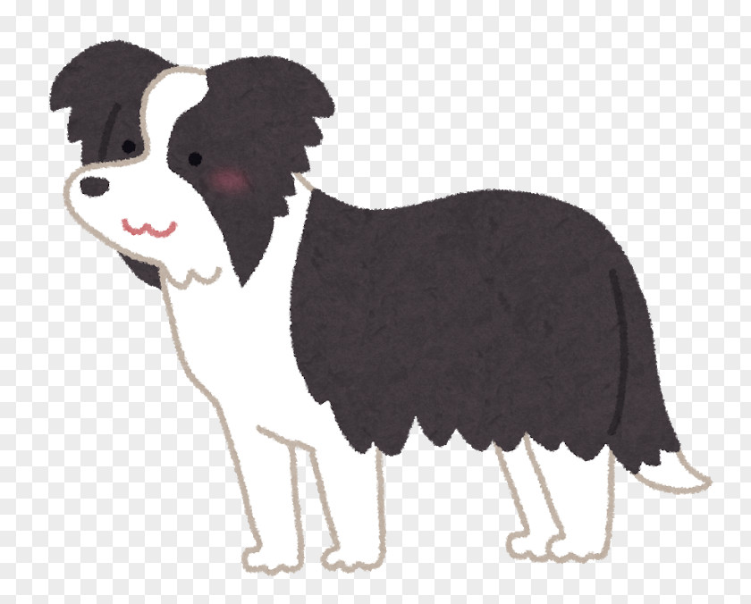 Golden Retriever Border Collie Standard Schnauzer Giant PNG