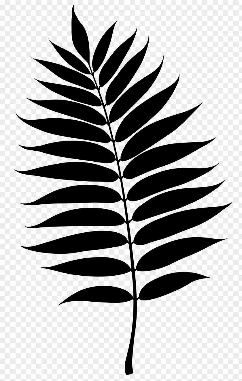 Twig Plant Stem Leaf Line Silhouette PNG