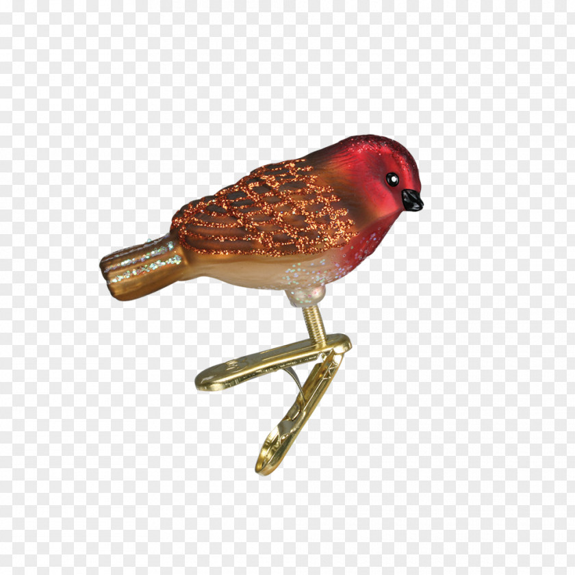 Christmas Ornament Finch Bird Decoration PNG