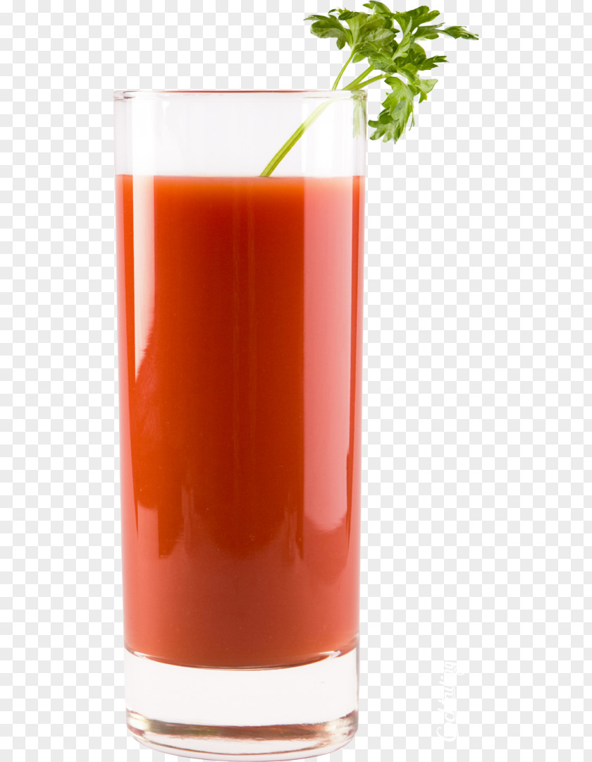 Cocktail Tomato Juice Bloody Mary Sea Breeze PNG