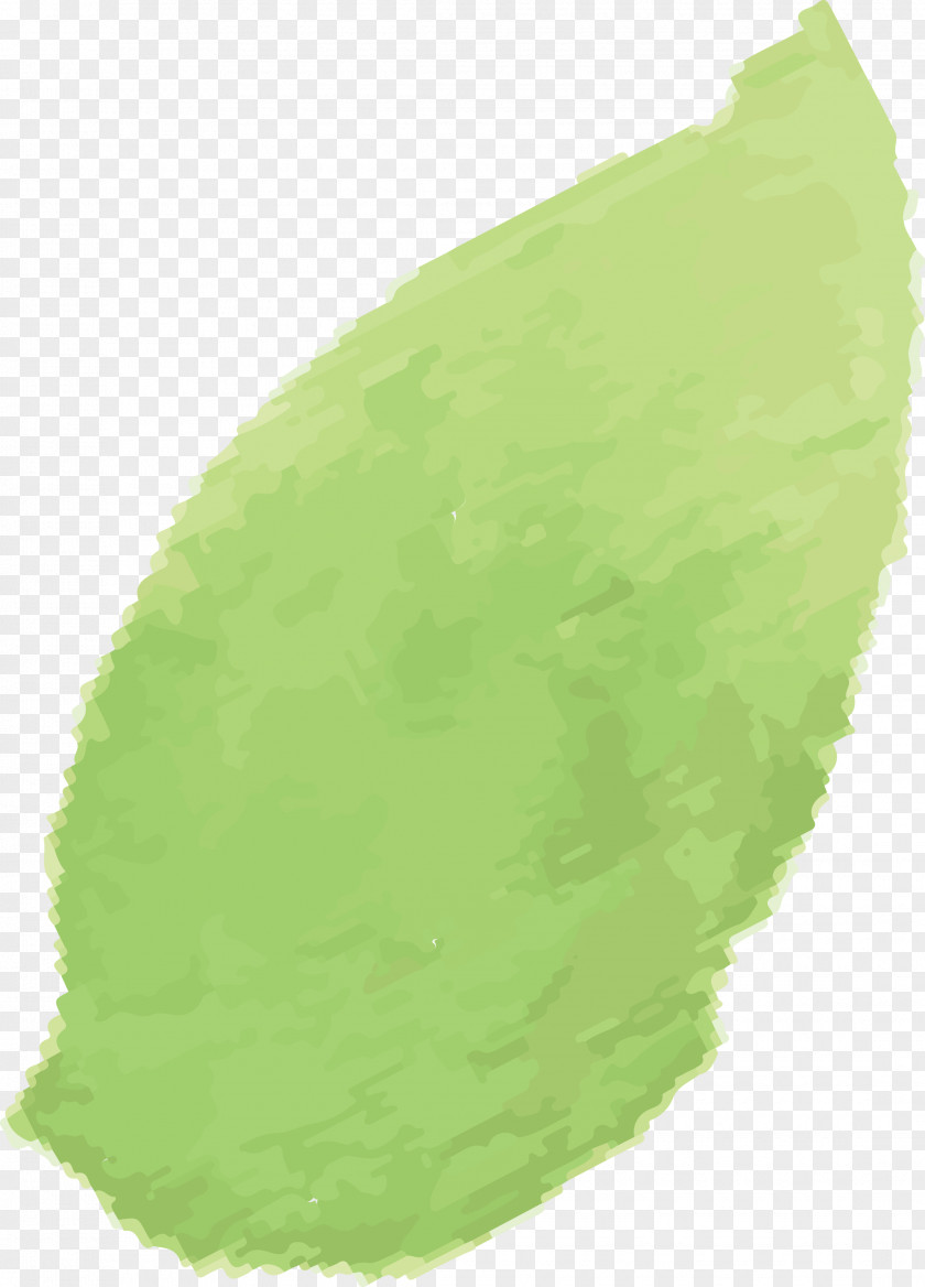 Green Leaf Yellow Plant Paint PNG