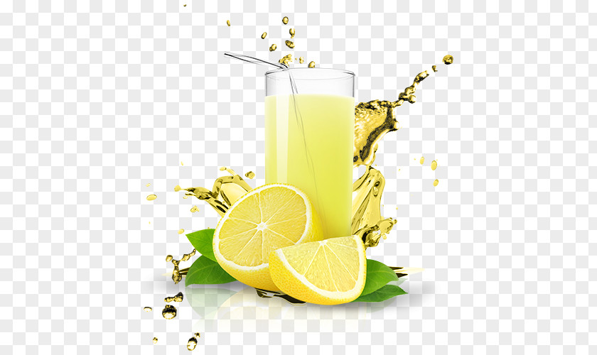 Lemonade Cranberry Juice Fizzy Drinks Gyro PNG