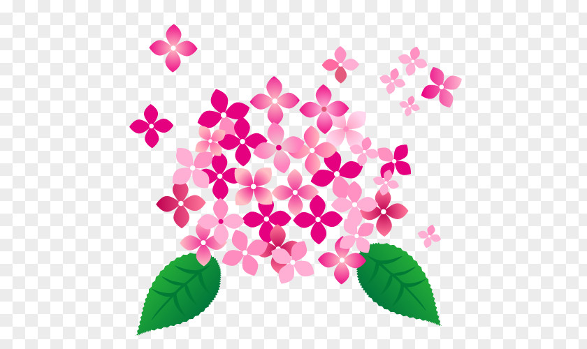 Pink Hydrangea Flower. PNG