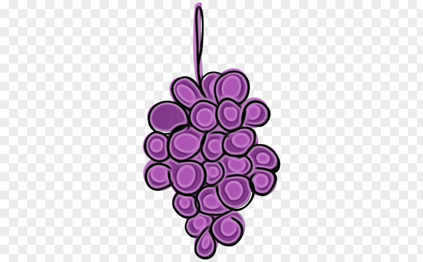 Plant Vitis Drawing Of Family PNG