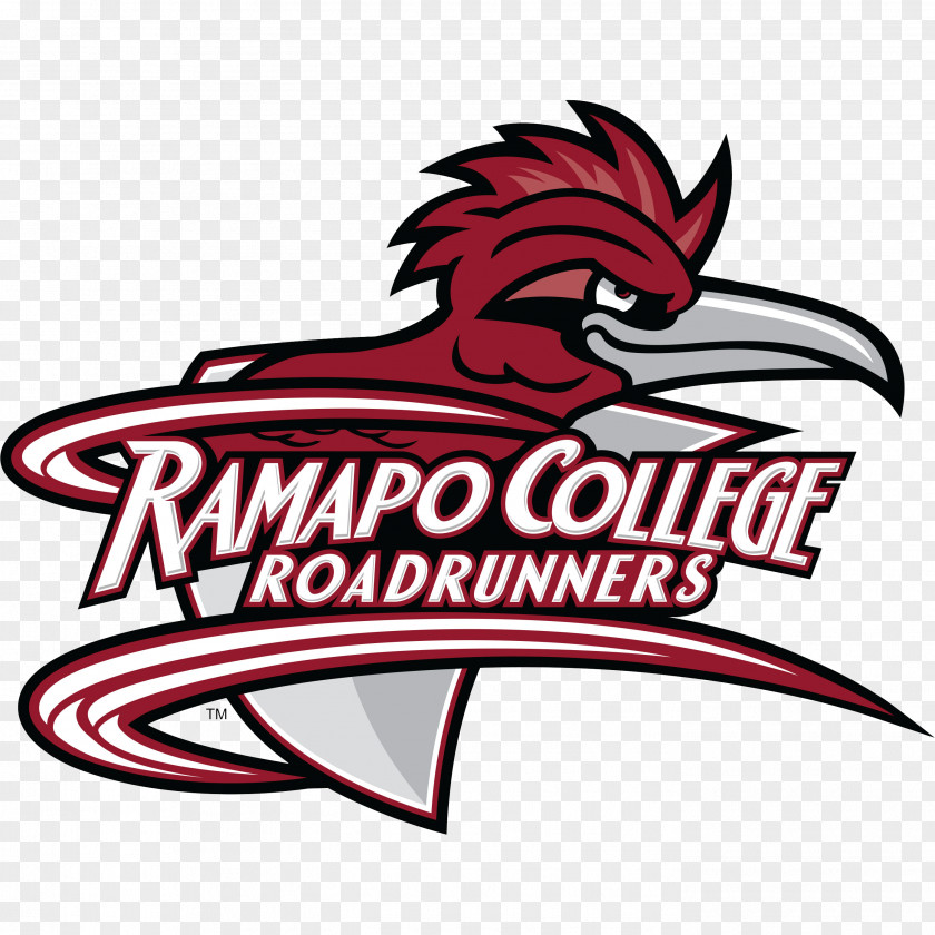Sidney Background Ramapo College Of New Jersey Roadrunners Women's Basketball Men's PNG