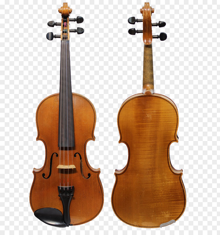 Violin Player Cremona Stradivarius Guarneri Amati PNG