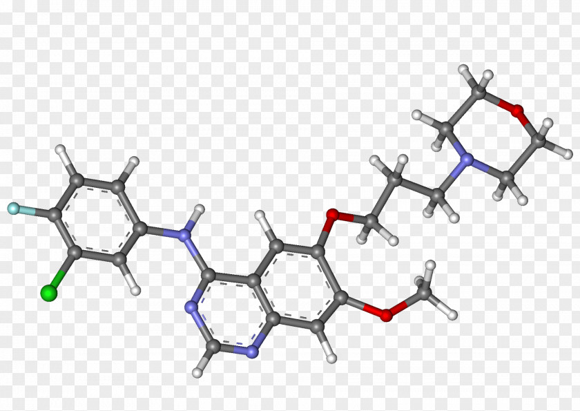 Gefitinib Epidermal Growth Factor Receptor Calcium Dobesilate Cinacalcet Vasoprotective PNG