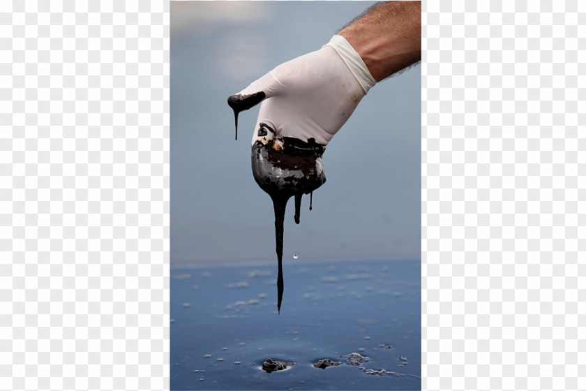 Oil Slick Deepwater Horizon Spill Gulf Of Mexico Macondo Prospect PNG