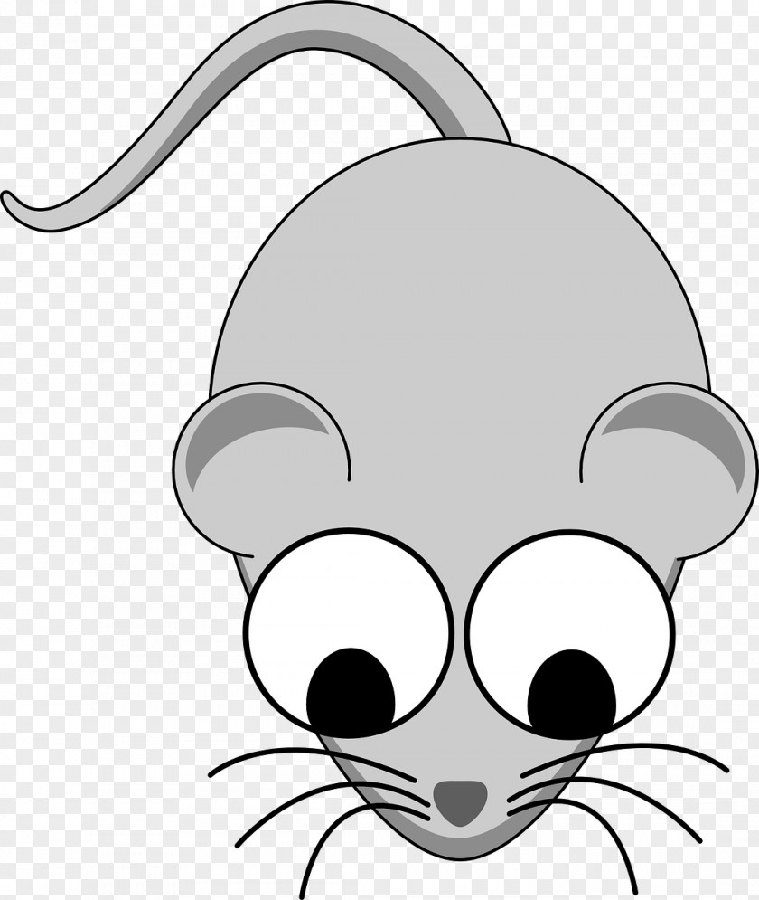 Rat Computer Mouse Rodent Clip Art PNG