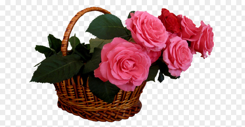 Rose Desktop Wallpaper Image Flower PNG