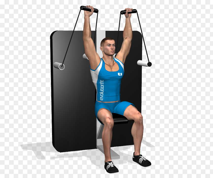 Shoulder Press Weight Training Deltoid Muscle Cable Machine Calf PNG